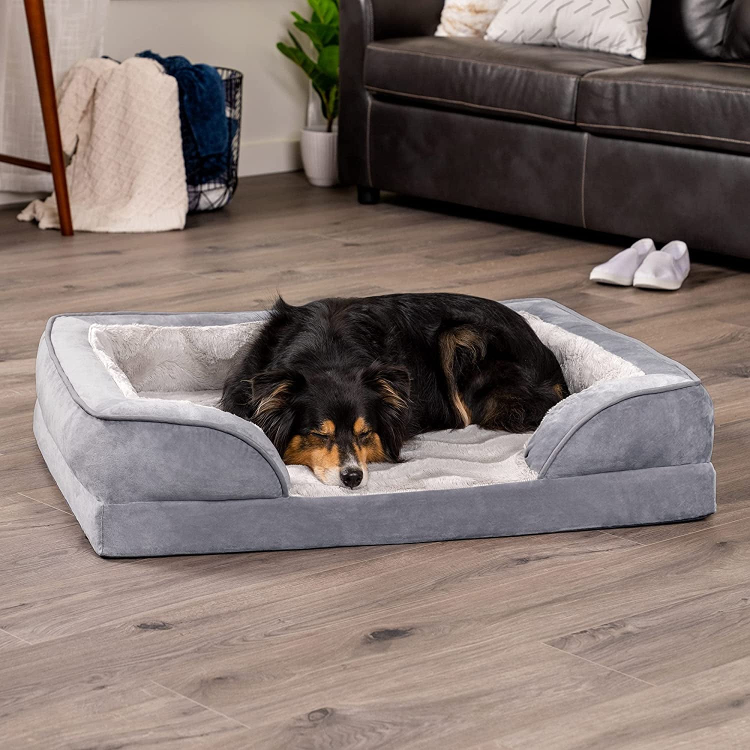 Furry Essentials Medium Orthopedic Dog Bed