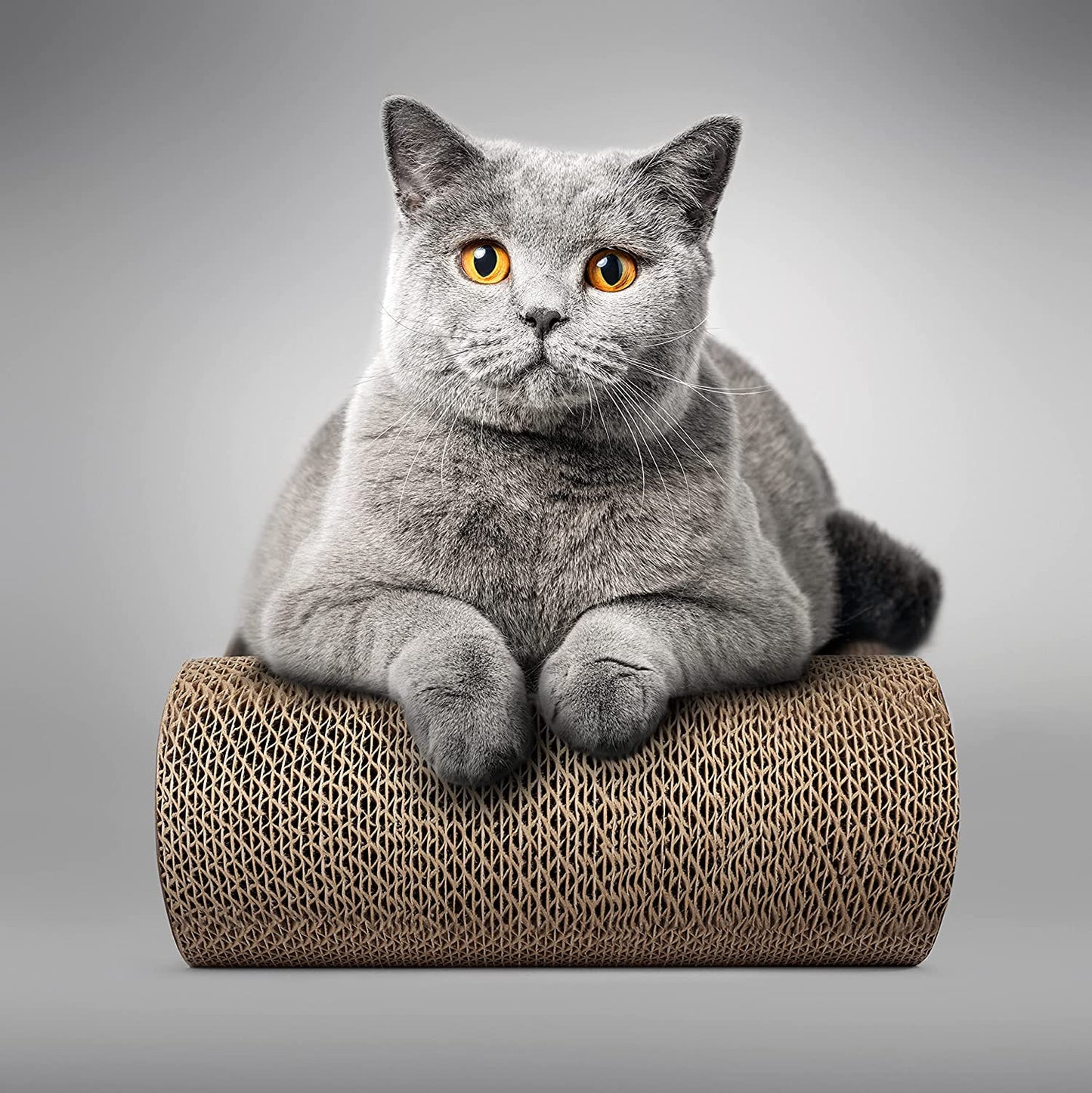 Furry Essentials Cat Scratcher Lounge