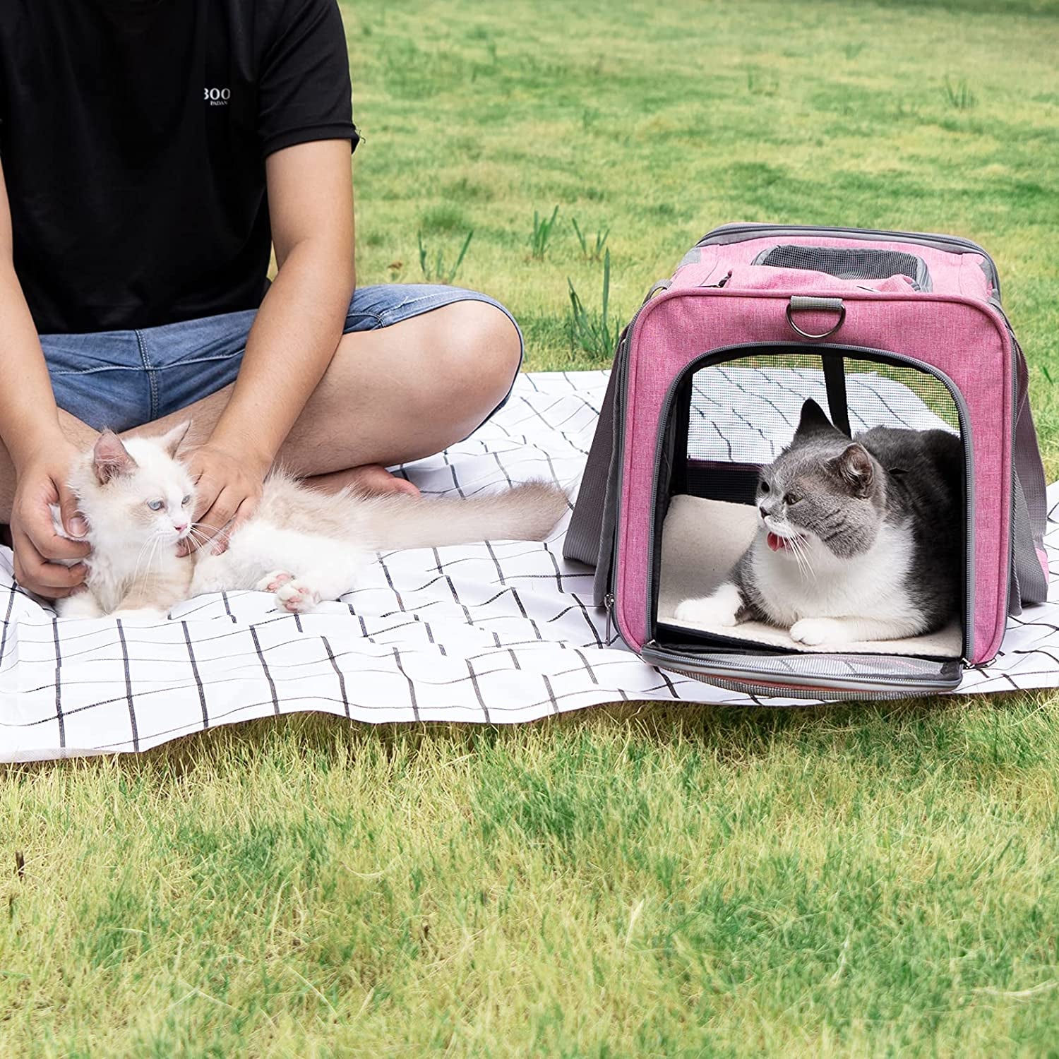 Furry Essentials Cat Carrier