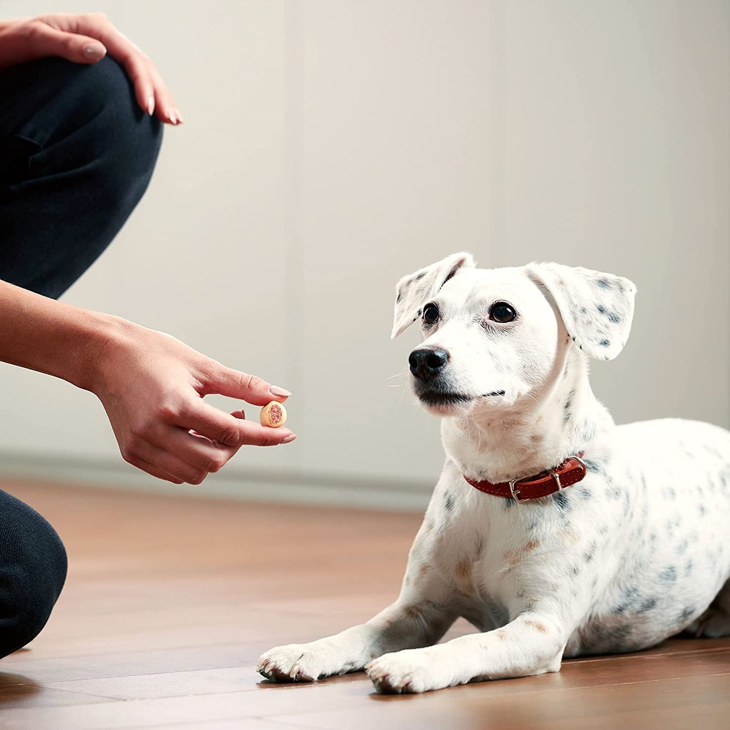 Furry Essentials Beef Dog Treats