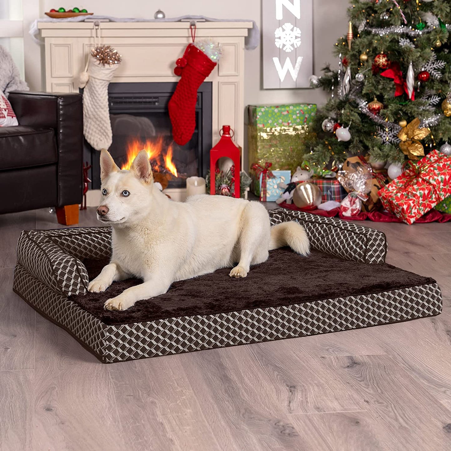 Furry Essentials Large Orthopedic Dog Bed 